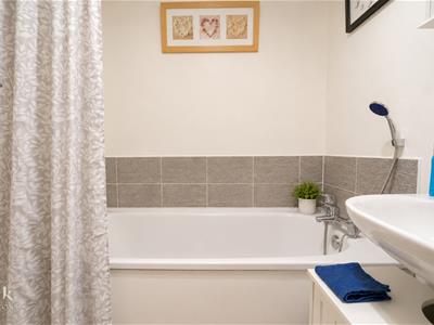 Picture 16